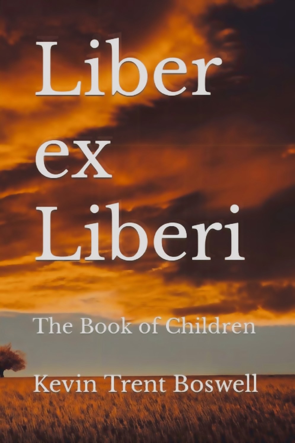 Liber ex Liberi - The Book of Children by Kevin Trent Boswell 
